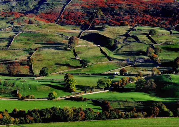 Around 25 per cent of all rural land sales over the last six months have been to non-farmers, according to the findings of a survey by RICS/RAU.