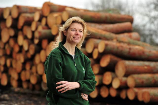 Emma Woods, owner of Duncombe Sawmill Ltd in Helmsley has been made an MBE for services to rural business and skills in North Yorkshire. (Picture Tony Johnson)