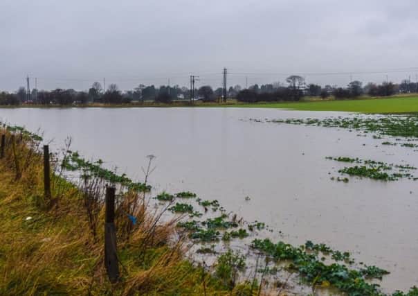 Are flooded fields fit for development?