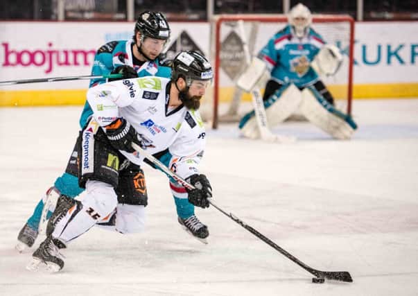 Sheffield Steelers' Mathieu Roy scored three goals in two games against Belfast Giants after returning from a short injury lay-off (Picture: Andy Gibson).