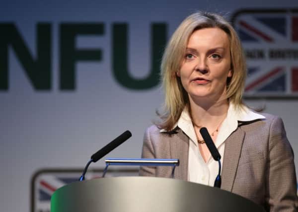 The Environment Secretary Elizabeth Truss has admitted there is no 'plan B' for UK agriculture if Britain exits the EU.   Pic: Joe Giddens/PA Wire
