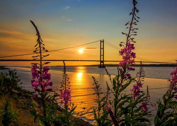 The Humber's revival could continue if Hull and East Riding Councils merge.