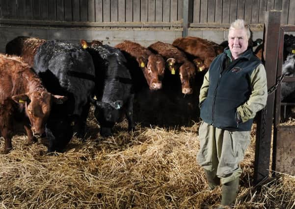 Pedigree Limousin breeder Janet Sheard of Low Common Farm, Almondbury, Huddersfield.   Picture Bruce Rollinson