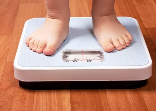 Council launches new drive to combat obesity