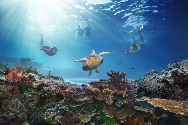 Australia, home to the Great Barrier Reef, should also be part of a wide-ranging portfolio.