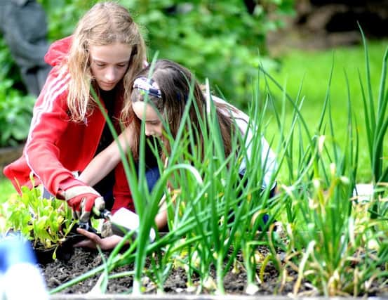 Food for thought:  Ellie Tutt and Neve Lenners  show onions easily thrive in Yorkshire soil .