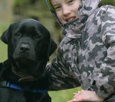 Farley the trainee autism assistance dog with Gregor, 11
