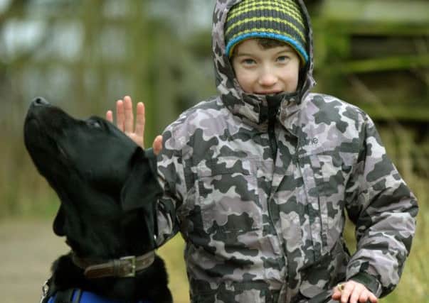 Farley the trainee autism assistance dog with Gregor, 11