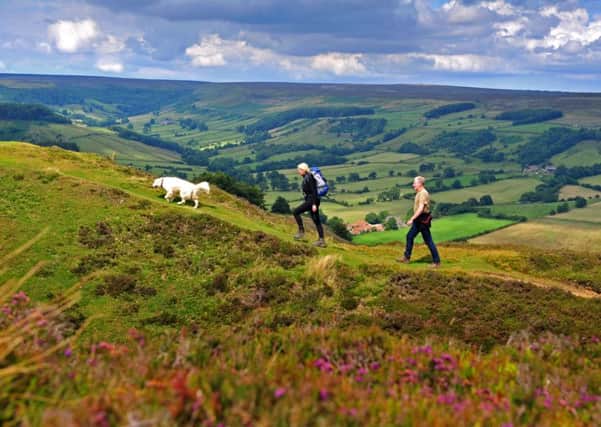 Ramblers enjoying the view from the North York Moors last summer.