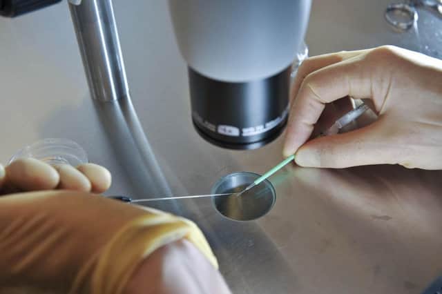 Embryos being placed onto a CryoLeaf ready for instant freezing