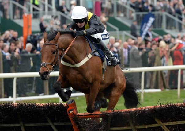 Seeyouatmidnight ridden by Ryan Mania during the Doom Bar Sefton Novices Hurdle Race during Ladies Day of the Crabbie's Grand National 2014 Festival at Aintree Racecourse