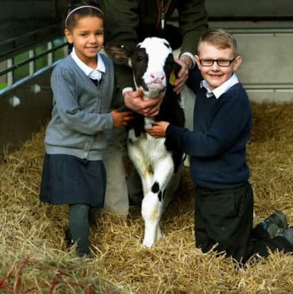Dairy farmer Paul Tompkins with a Holstein Fresian calf and pupils Ava Joiner and Kuba Kowalczyk at St Barnabas Primary School in York. (Gl1008/76e)