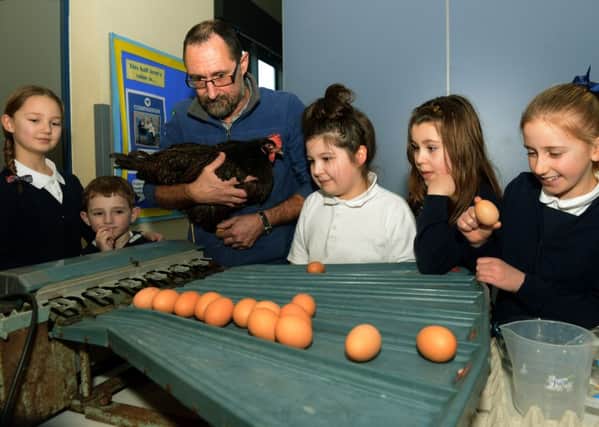 David Etheridge from Farming and Countryside Education showing pupils a hen and egg grading machine at St Barnabas Primary School in York. (Gl1008/76c)