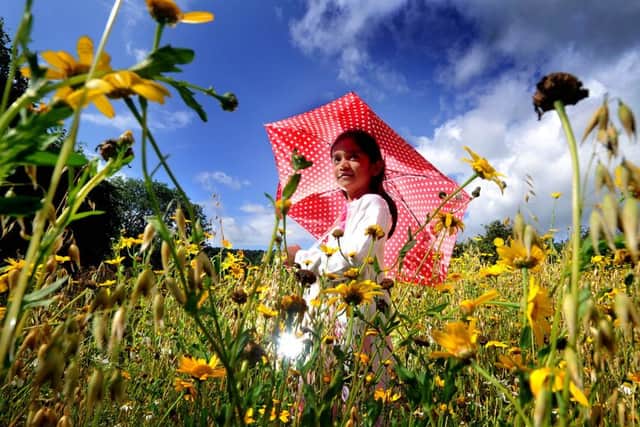 Wild flowers could thrive on agricultural land left fallow.
Pictured is eight year old Esha Chackiath at Ryedale Folk Museum, last year. Picture: James Hardisty