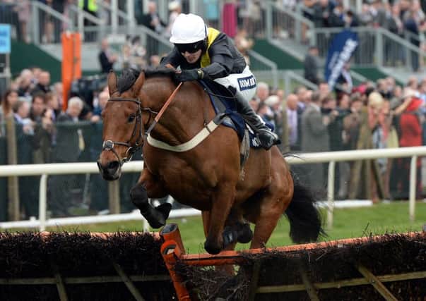 Seeyouatmidnight has been ruled out of tomorrows Towton Novices Chase at Wetherby (Picture: John Giles/PA Wire).