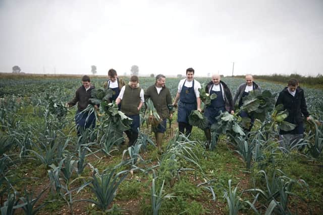 Colin and his team harvesting their own produce in the fields behind the restaurant
