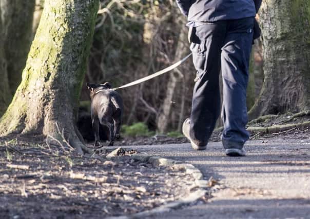 Dog walkers can avoid needless sheep deaths and aborted pregnancies by keeping their pet on a lead, the NFU's Lucinda Douglas said.