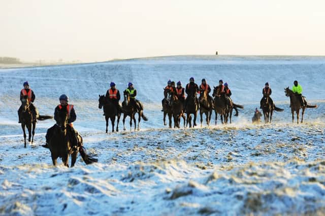 Snow-covered hills across Coverdale in the Yorkshire Dales as horses and their riders make their way to the gallops on Middleham Moor following overnight snowfall. John Giles/PA Wire