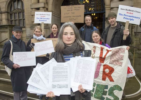 Carly Mountain and other tree campaigners outside the Town Hall in Sheffield where they handed in a 5000 signature petition against tree felling in January.