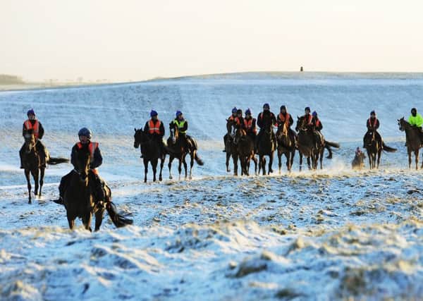 Horses and their riders make their way on to the gallops at Middleha where internet and mobile phone coverage is poor.