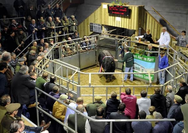 Thirsk Farmer Auction Mart - what will the EU referendum meanfor agriculture?