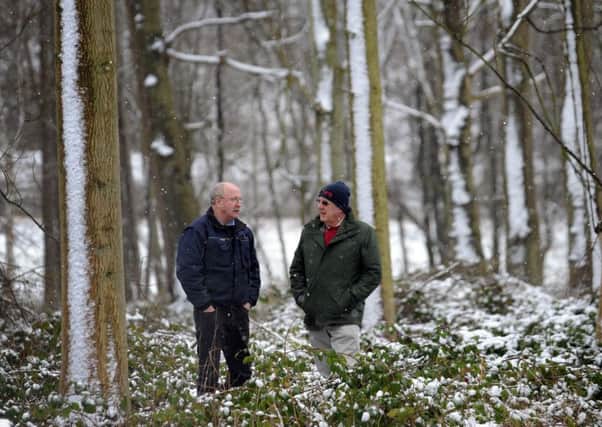 David Carter (right) and Nick Cooke (left) amongst the trees at Castle Howard.  Picture: Simon Hulme