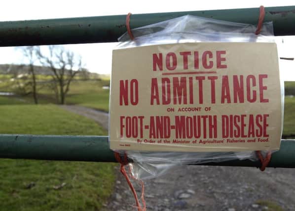 The first case of foot and mouth disease was discovered 15 years ago today.