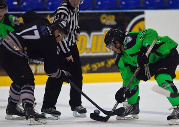 Sheffield Steeldogs and Hull Pirates face off against each other this weekend. Picture: Roger Williams.