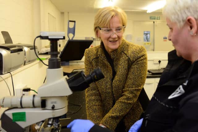 Yorkshire MEP Linda McAvan chats with chemist Jane Micklethwaite at Diamond Dispersions in Sheffield as she launches the Yorkshire campaign for Britain Stronger In Europe. Picture Scott Merrylees
