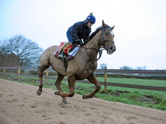 Samantha Drake on Atimo on the gallops at her yard in Guiseley. Picture by Tony Johnson
