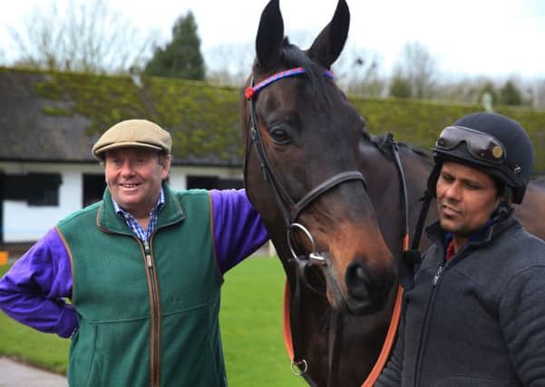 FESTIVAL HOPE: Trainer Nicky Henderson proudly stands with Sprinter Sacre at his stables at Seven Barrows, Lambourn. Picture: PA