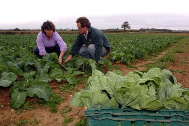 Jonathan and Fanny Watson , organic vegetable growers, are pictured in a field of greens on their farm at Newton Kyme near Tadcaster.