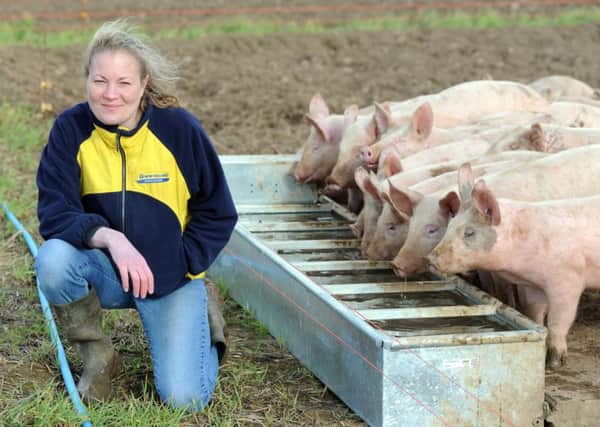 Anna Longthorp with her free range pigs at Kilpin, near Howden.  Picture: Scott Merrylees