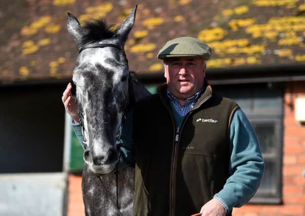 Trainer Paul Nicholls has high hopes for Saphir Du Rheu, who will run in the Ryanair World Hurdle (Picture: Andrew Matthews/PA Wire).