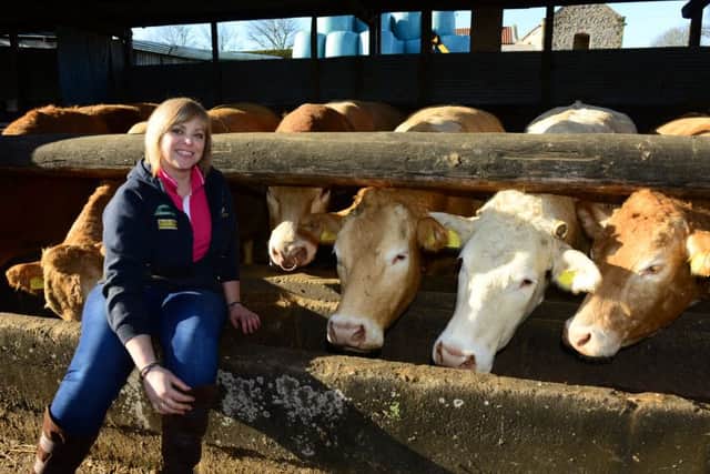 Kate McNeil who has her own herd of British Blonde cattle at Walden Stubbs near Doncaster.   Picture: Scott Merrylees