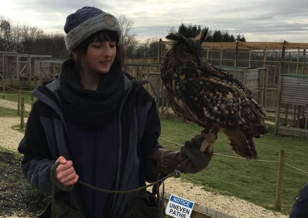 Poppy Wilson with Edward, the European Eagle Owl.