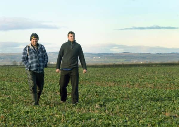 Brothers  Robert (left) and Will Atkinson (right) walking across an oil seed rape field at Scorton. (Gl1009/07c)