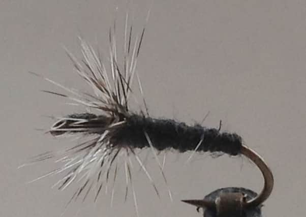 A Scruffy Kebari, much loved by Dr Ishigaki, who is known as a wizard of fly fishing.  Flies dressed by Stephen Cheetham