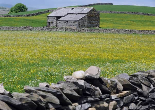 A tradional stone barn sat in a field of buttercups in the Yorkshire Dales, near Hawes.  By Gerard Binks