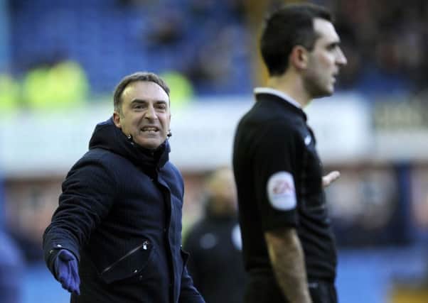 Owls coach Carlos Carvalhal can not believe the offside decision.
