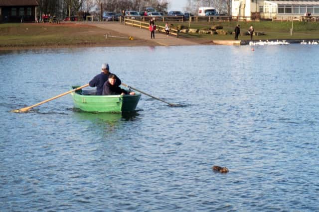 A cat faced its fear of water by taking a plunge in a reservoir - to chase birds. Picture: Geoff Eagle/Ross Parry Agency