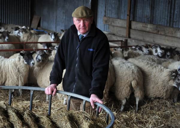 North Yorkshire farmer John Furness has had sheep stolen from him.