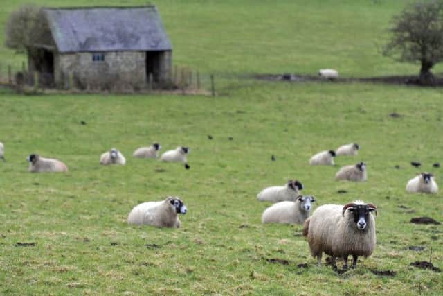 Livestock rustling is a growing concern in some parts of the country.