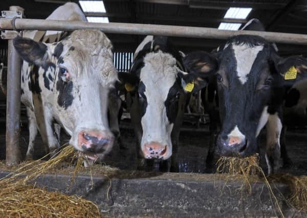 Will Brexit help or hinder Yorkshire farming?