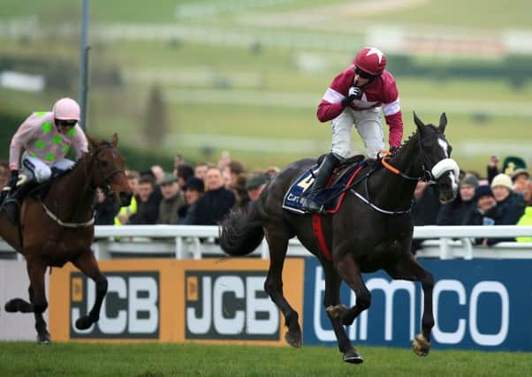 Don Cossack ridden by jockey Bryan Cooper after winning the Timico Cheltenham Gold Cup.