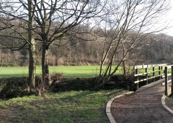 Plans to fell trees in Wellholme Park, Brighouse, are causing controversy.