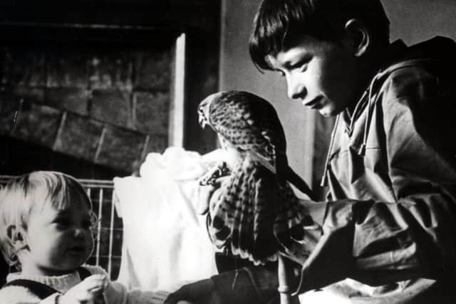 David Bradley showing Freeman - one of three kestrels who played Kes - to Barry Hines' daughter Sally.