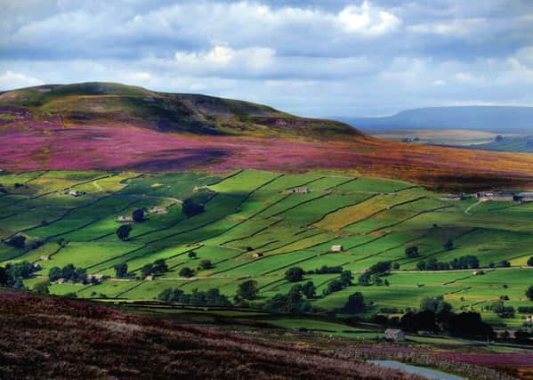 There are 5,000 miles of roads in North Yorkshire, including The Yorkshire Dales, pictured.