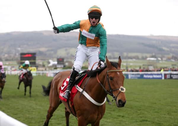 EASING BACK: Cole Harden, after winning the 2015 World Hurdle, is set to go novice-chasing. Picture: PA