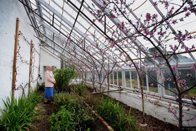 Lady Graham in the Peach House at Norton Conyers Hall